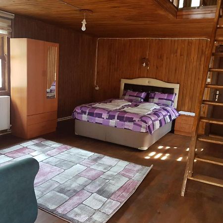 Cam Pinari Doga Evleri Villa Mengen Exterior foto