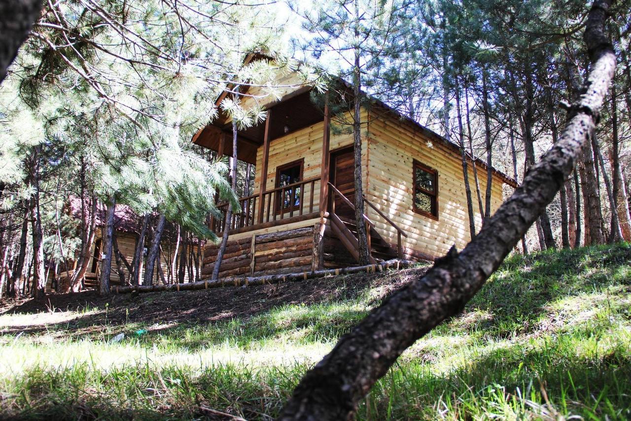 Cam Pinari Doga Evleri Villa Mengen Exterior foto
