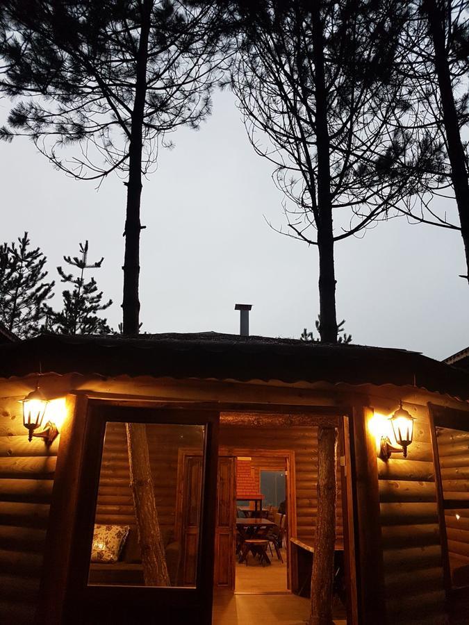Cam Pinari Doga Evleri Villa Mengen Exterior foto