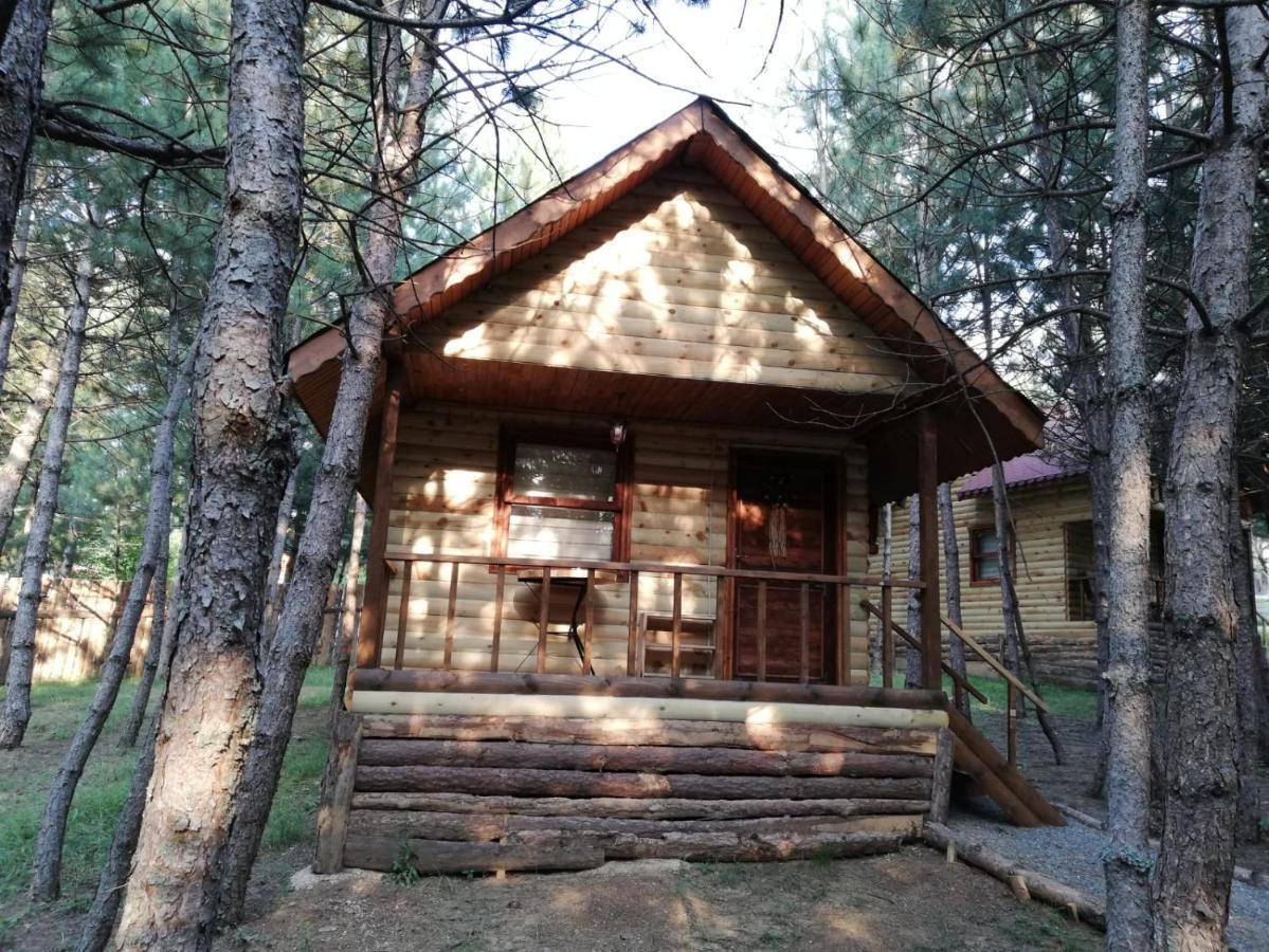 Cam Pinari Doga Evleri Villa Mengen Exterior foto